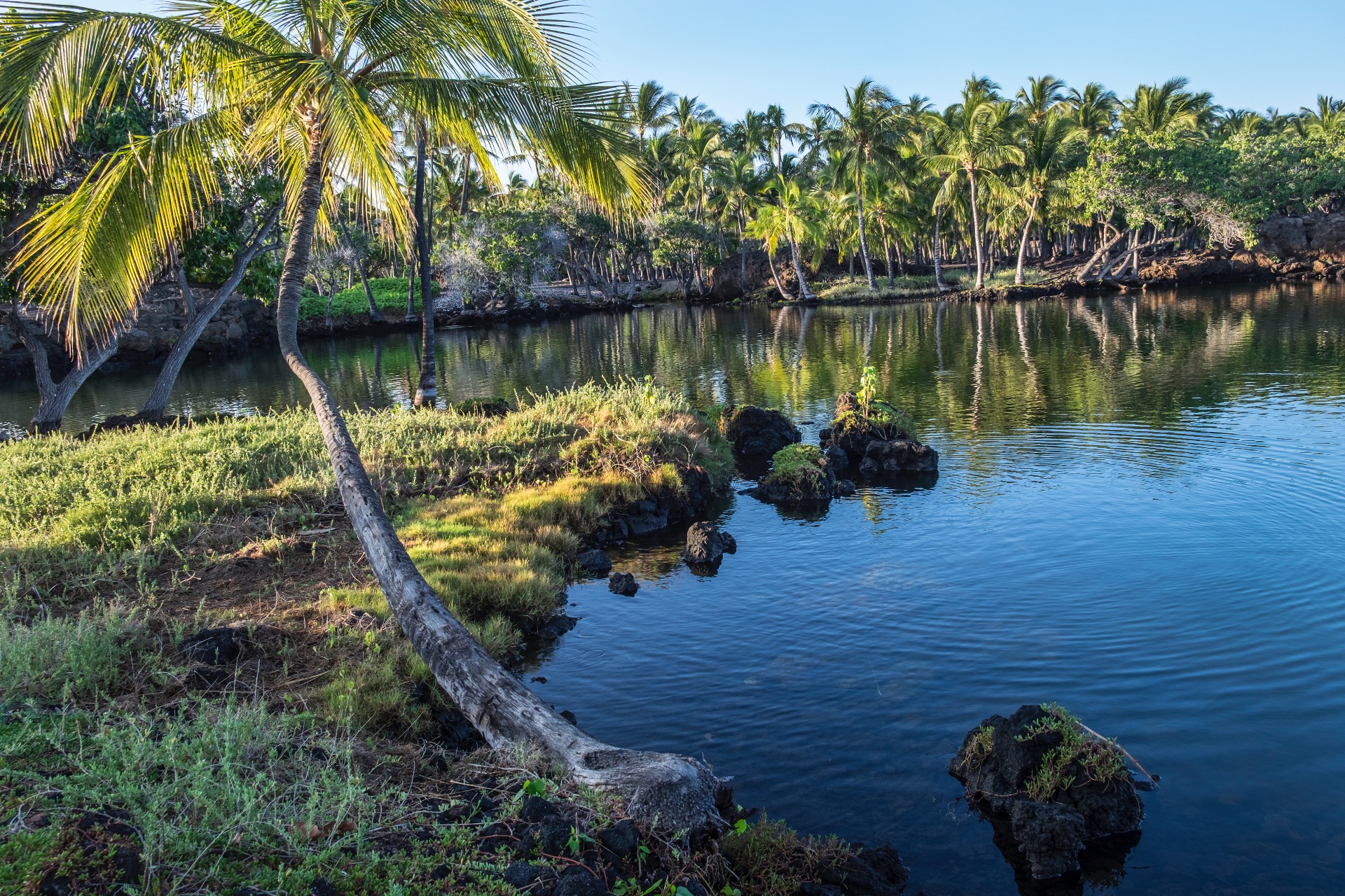 Art & Landscape Images Beverly Hills CA